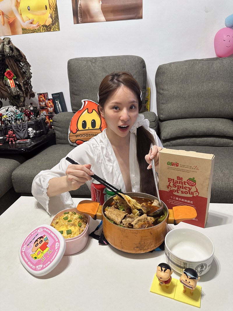 試用